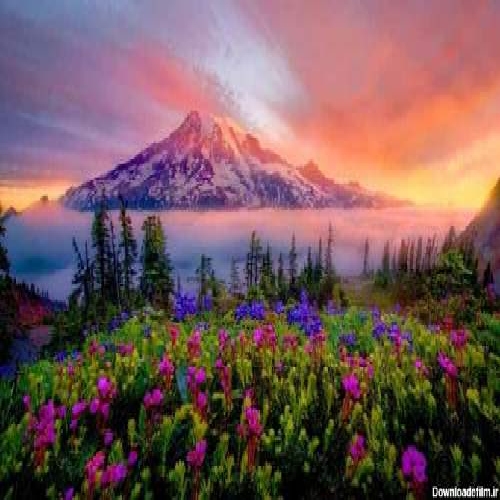 آکانای آی ملییم اورییم سنی من سویرم